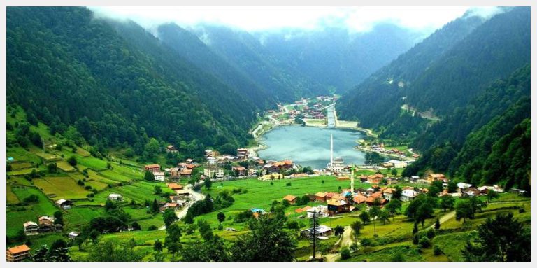 Black Sea Tours